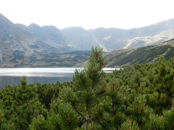 Όμορφη Λίμνη Στο Εθνικό Πάρκο Ταταρικά Βουνά Καλοκαίρι Άνοιξη — Φωτογραφία Αρχείου