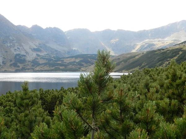 Beautiful Lake National Park Tatry Mountains Spring Summer — стоковое фото