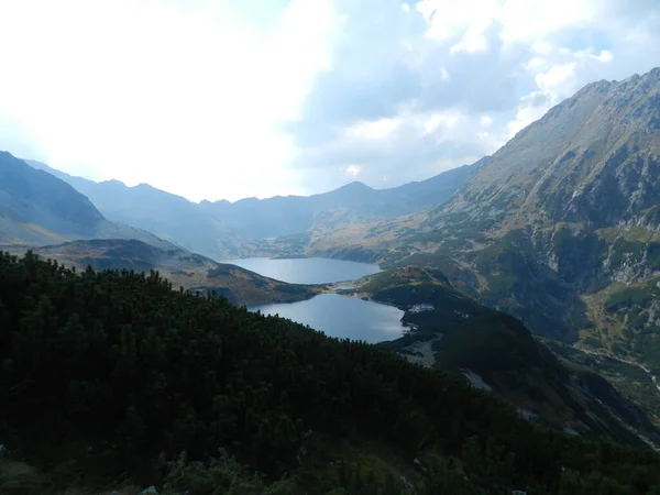 Beau Lac Dans Parc National Les Montagnes Tatry Printemps Été — Photo