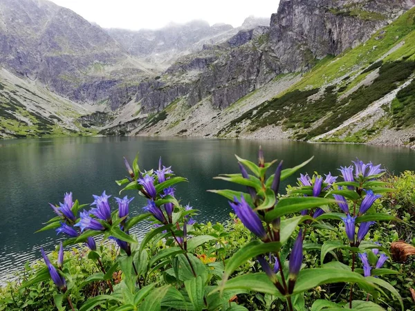 Beautiful Lake National Park Tatry Mountains Spring Summer — Stockfoto