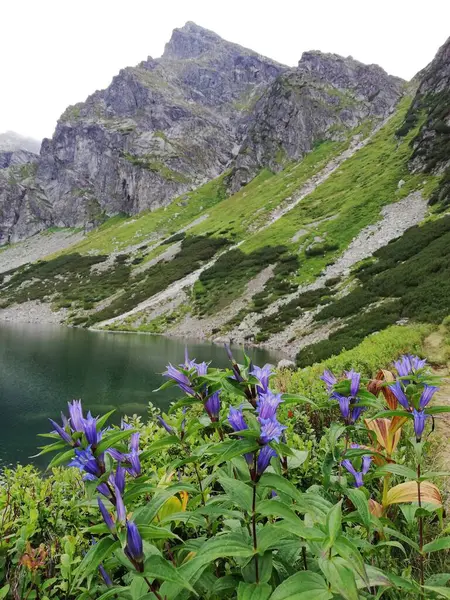 Beautiful Lake National Park Tatry Mountains Spring Summer — Stockfoto