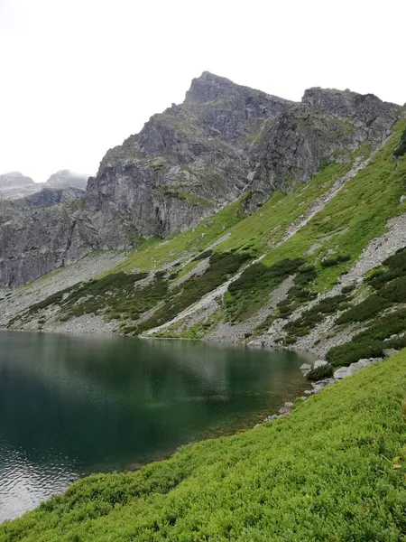 Beau Lac Dans Parc National Les Montagnes Tatry Printemps Été — Photo