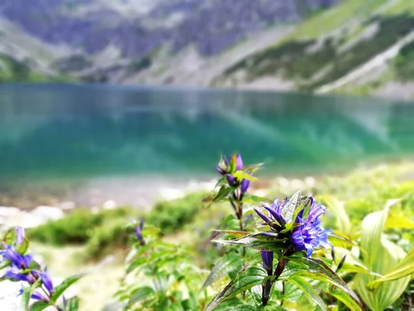 Beautiful Lake National Park Tatry Mountains Spring Summer — Foto Stock