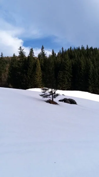 Beautiful Mountain Landscape Winter Tatra National Park Beautiful View — Fotografia de Stock