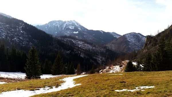 Beautiful Mountain Landscape Winter Tatra National Park Beautiful View — Foto de Stock