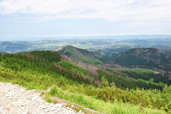 Beautiful mountain landscape. A trail leading through the Tatra National Park.