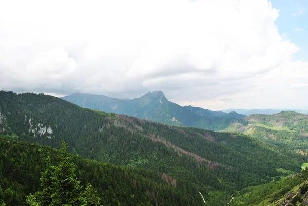 Beautiful Mountain Landscape Trail Leading Tatra National Park — 图库照片