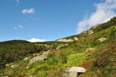Beautiful mountain landscape. A trail leading through the Tatra National Park.