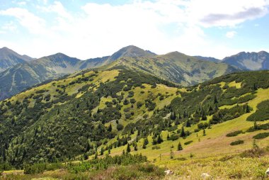 Beautiful mountain landscape. A trail leading through the Tatra National Park.