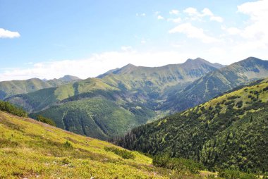 Beautiful mountain landscape. A trail leading through the Tatra National Park.