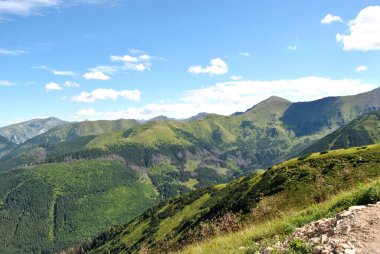 Beautiful mountain landscape. A trail leading through the Tatra National Park.