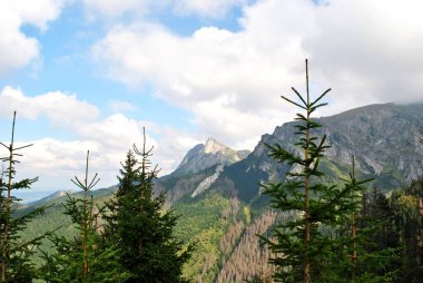 Beautiful mountain landscape. A trail leading through the Tatra National Park.