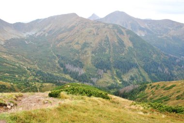 Beautiful mountain landscape. A trail leading through the Tatra National Park.