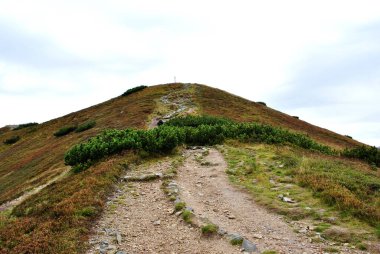 Beautiful mountain landscape. A trail leading through the Tatra National Park.