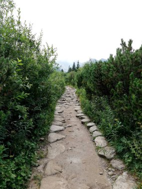 Beautiful mountain landscape. A trail leading through the Tatra National Park.