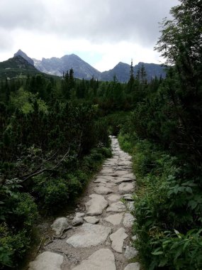 Beautiful mountain landscape. A trail leading through the Tatra National Park.