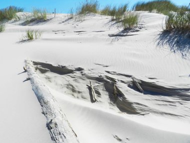 Dunes on the Baltic Sea. Summer, vacation on beach. Beautiful sandy landscapes.