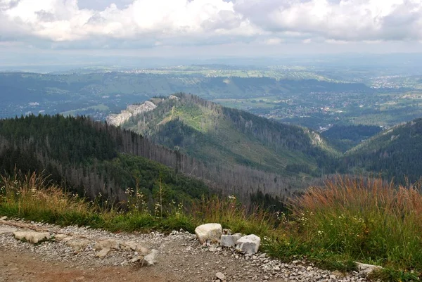 Beautiful mountain landscape. A trail leading through the Tatra National Park.