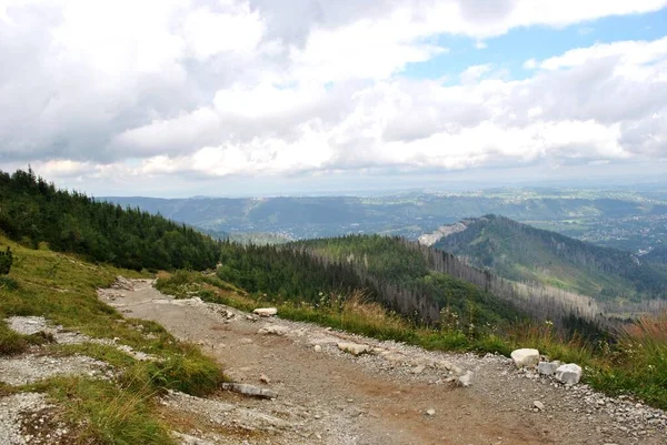 Beautiful mountain landscape. A trail leading through the Tatra National Park.