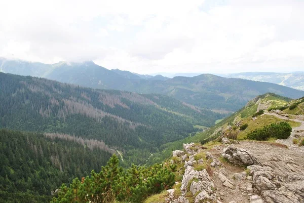 Beautiful Mountain Landscape Trail Leading Tatra National Park — Φωτογραφία Αρχείου