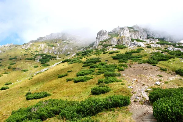 Beautiful mountain landscape. A trail leading through the Tatra National Park.
