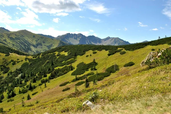 Beautiful Mountain Landscape Trail Leading Tatra National Park — Foto de Stock