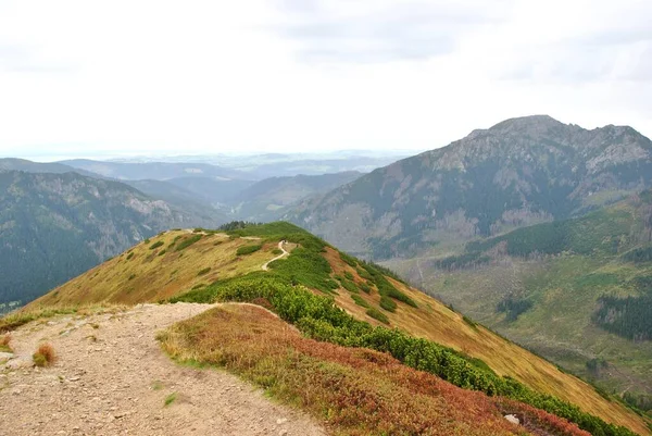 Beautiful mountain landscape. A trail leading through the Tatra National Park.