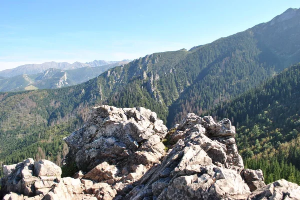 Beautiful Mountain Landscape Trail Leading Tatra National Park — стокове фото