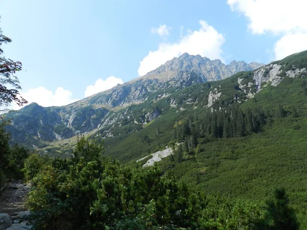 Indah Lanskap Gunung Jejak Yang Mengarah Taman Nasional Tatra — Stok Foto