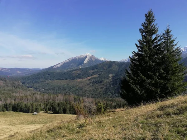 Beautiful Mountain Landscape Trail Leading Tatra National Park — стокове фото