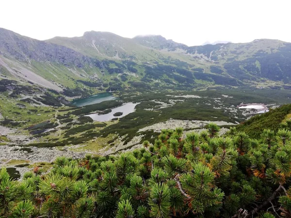 Beautiful Mountain Landscape Trail Leading Tatra National Park — Stok fotoğraf