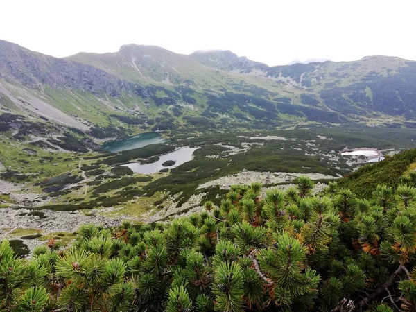 Beautiful Mountain Landscape Trail Leading Tatra National Park — Stockfoto