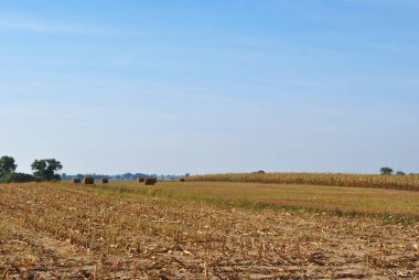 Rural landscape. Farmer's field. Uninhabited areas outside the city. 