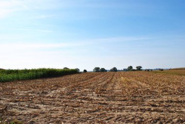 Rural landscape. Farmer's field. Uninhabited areas outside the city. 