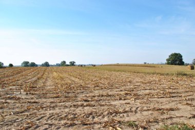 Rural landscape. Farmer's field. Uninhabited areas outside the city. 
