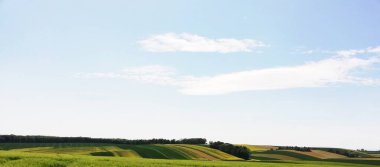 Rural landscape. Farmer's field. Uninhabited areas outside the city. 