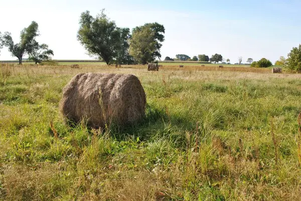 Rural Landscape Farmer Field Uninhabited Areas City — Stock Photo, Image