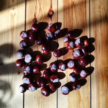 Chestnuts. A symbol of autumn and the upcoming winter.