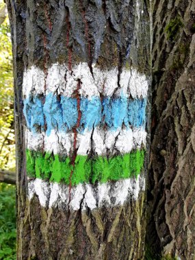 Marking the trail on the tree. Mountain hike. 