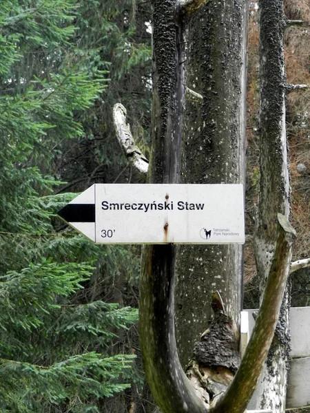 Signpost Mountain Trail Polish Mountains Direction Travel — Foto Stock