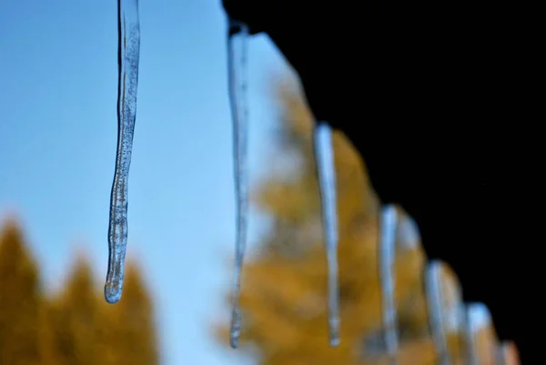 Icicles Hanging Metal Roof Frosty Sunny Morning — Stock Fotó