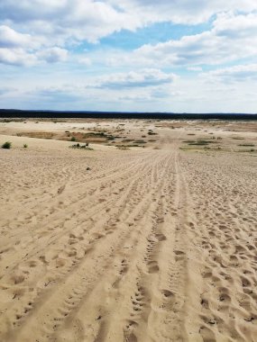 Sandy areas. Bedowska Desert. Poland. Beautiful landscape.