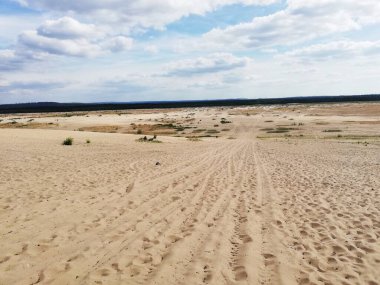 Sandy areas. Bedowska Desert. Poland. Beautiful landscape.