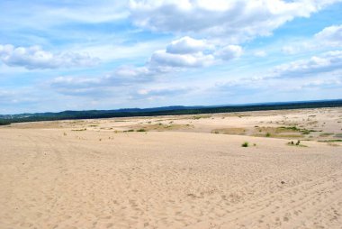 Sandy areas. Bedowska Desert. Poland. Beautiful landscape.