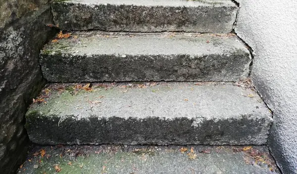 Old Stairs Leading Basement Concrete Stone — Zdjęcie stockowe