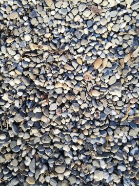Gravel path in the park. Fine pebbles. An alley in the garden. An interesting pattern for wallpaper, background.