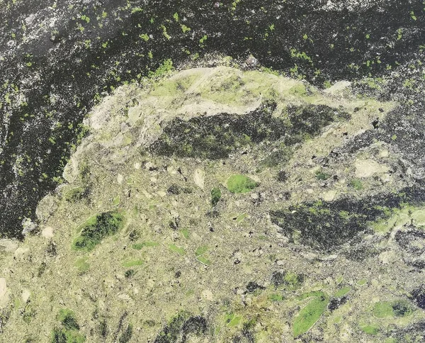 Wasserlinse Auf Dem See Fluss Park Algen Abstraktion — Stockfoto