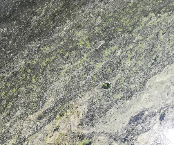 Wasserlinse Auf Dem See Fluss Park Algen Abstraktion — Stockfoto