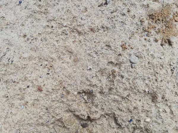 Sand Path Dune Footprints Sand Beach Holiday — 스톡 사진