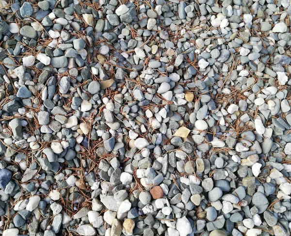 Gravel Path Park Fine Pebbles Alley Garden Interesting Pattern Wallpaper — ストック写真